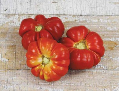 Heirloom Tomato Varieties for Your Garden Image